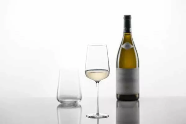 Бокал для белого вина Riesling 0,406 л Schott Zwiesel Vervino (121404) - Фото nav 4