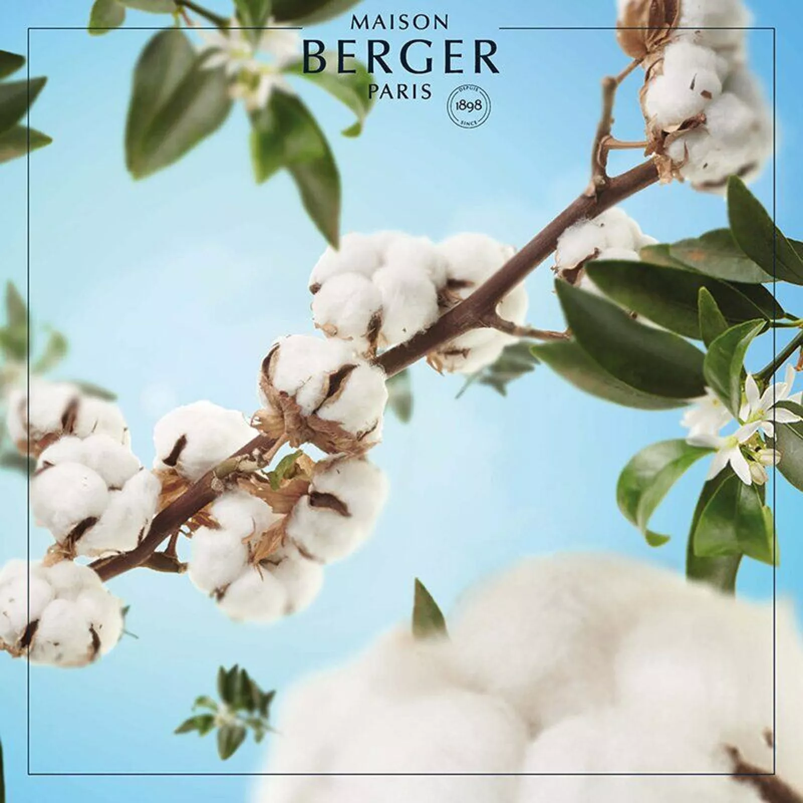Диффузор ароматический Maison Berger Paris Geometry Cotton Caress, объем 0,18 л (6144) - Фото nav 4