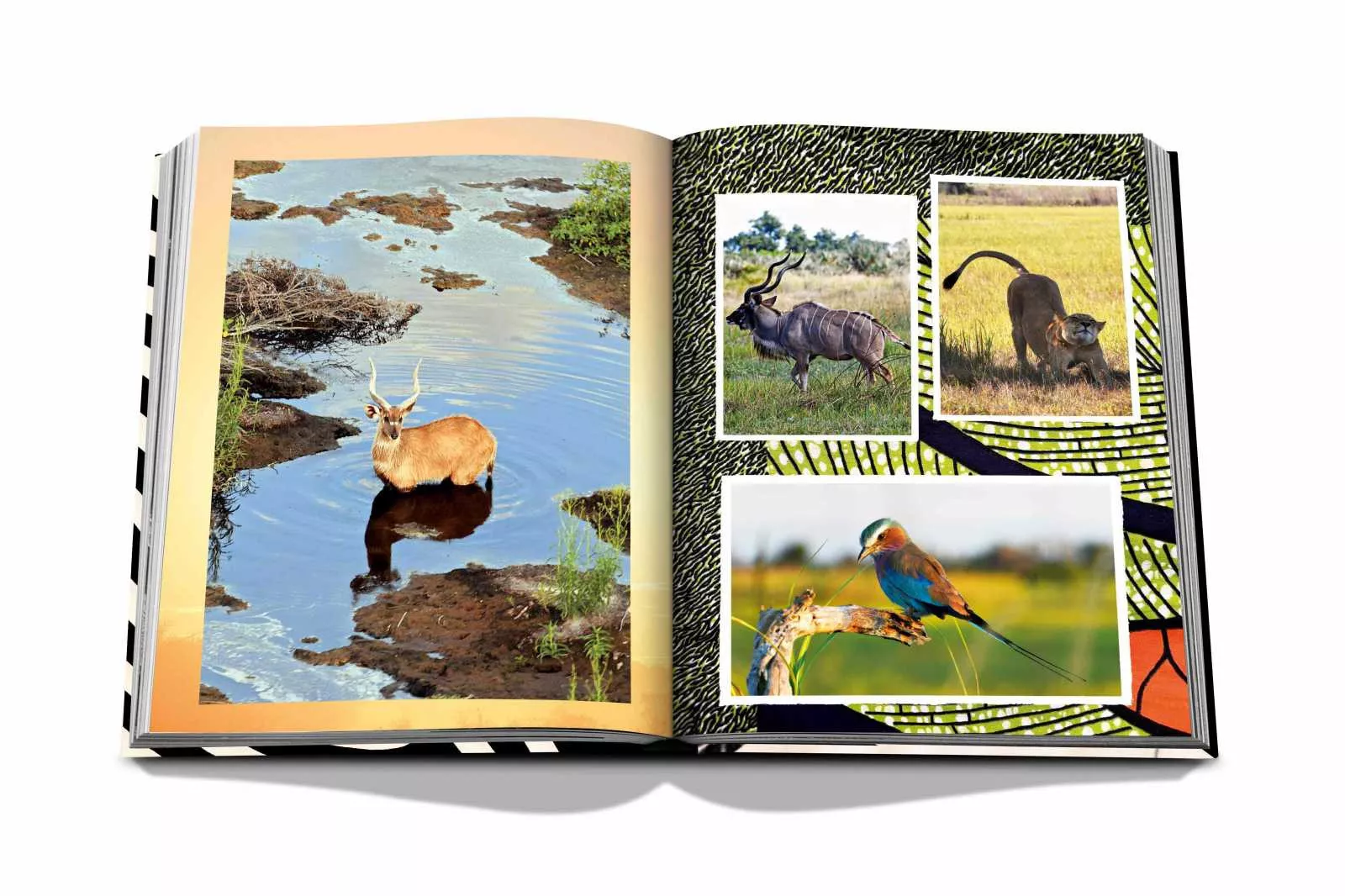 Книга "African Adventures" Assouline Classics Collection (9781649801999) - Фото nav 6