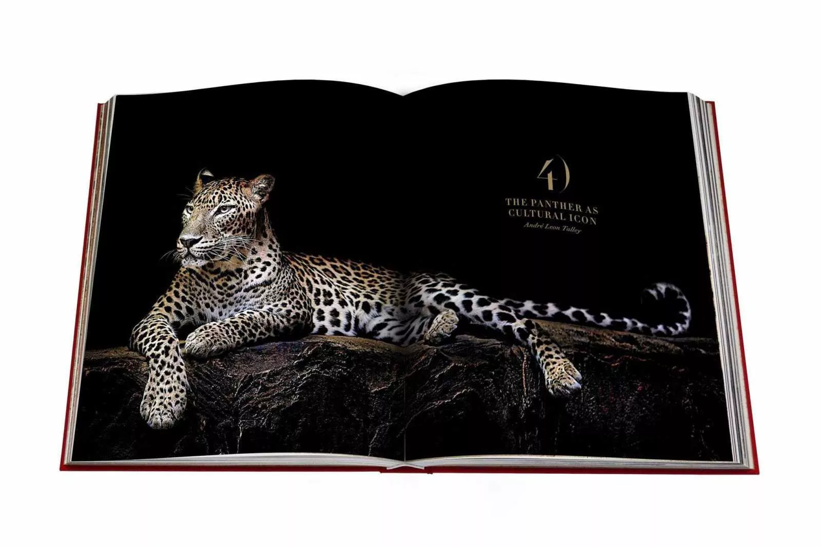 Книга "Cartier Panthere" Assouline Legends Collection (9781614284284) - Фото nav 11