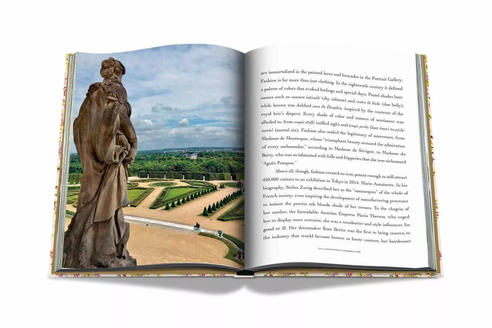 Книга "Versailles:From Louis XIV to Jeff Koons" Assouline Ultimate&Special Editions (9781614289623) - Фото nav 6