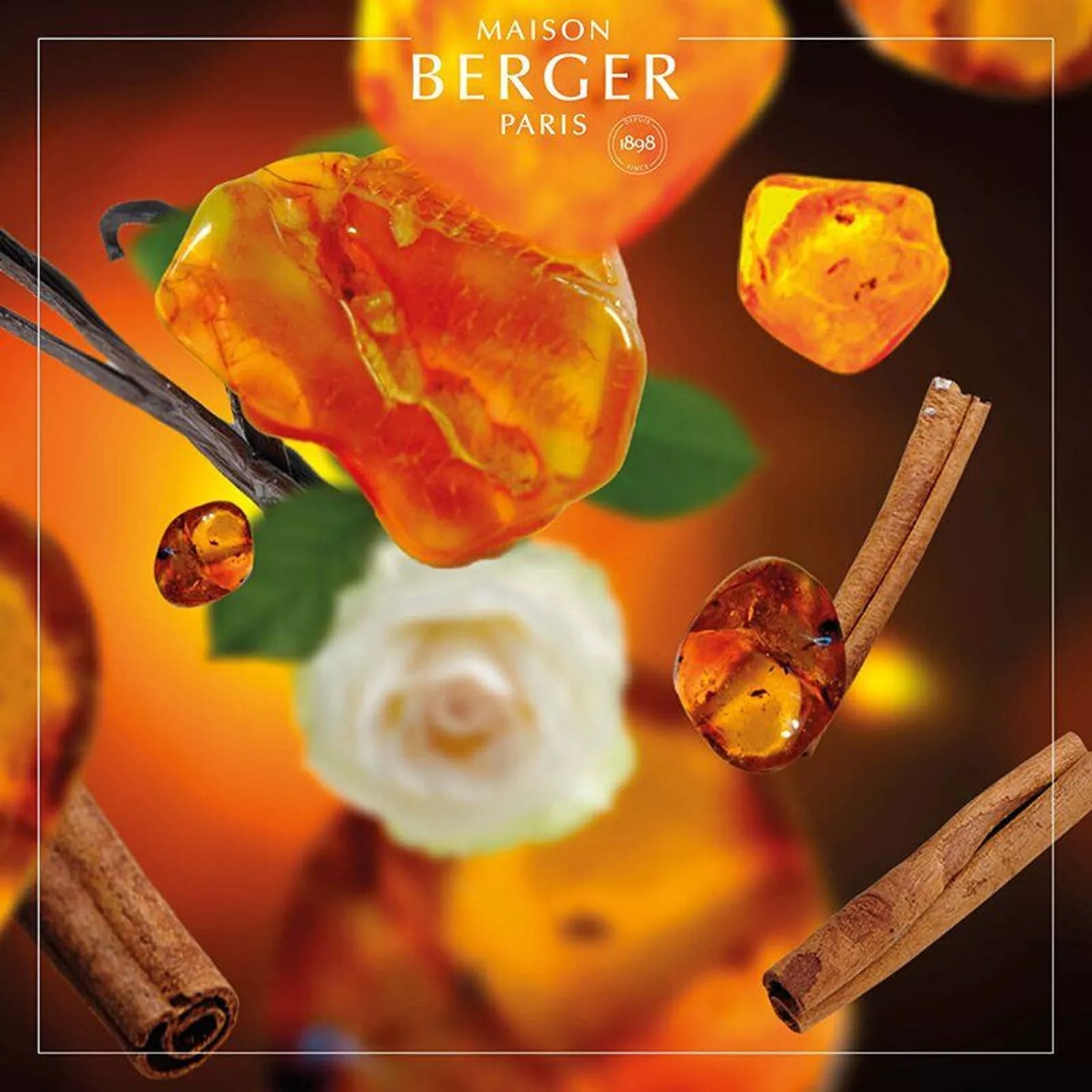 Наполнитель сменный для диффузора Maison Berger Paris Amber Powder, объем 0,2 л (6036) - Фото nav 2