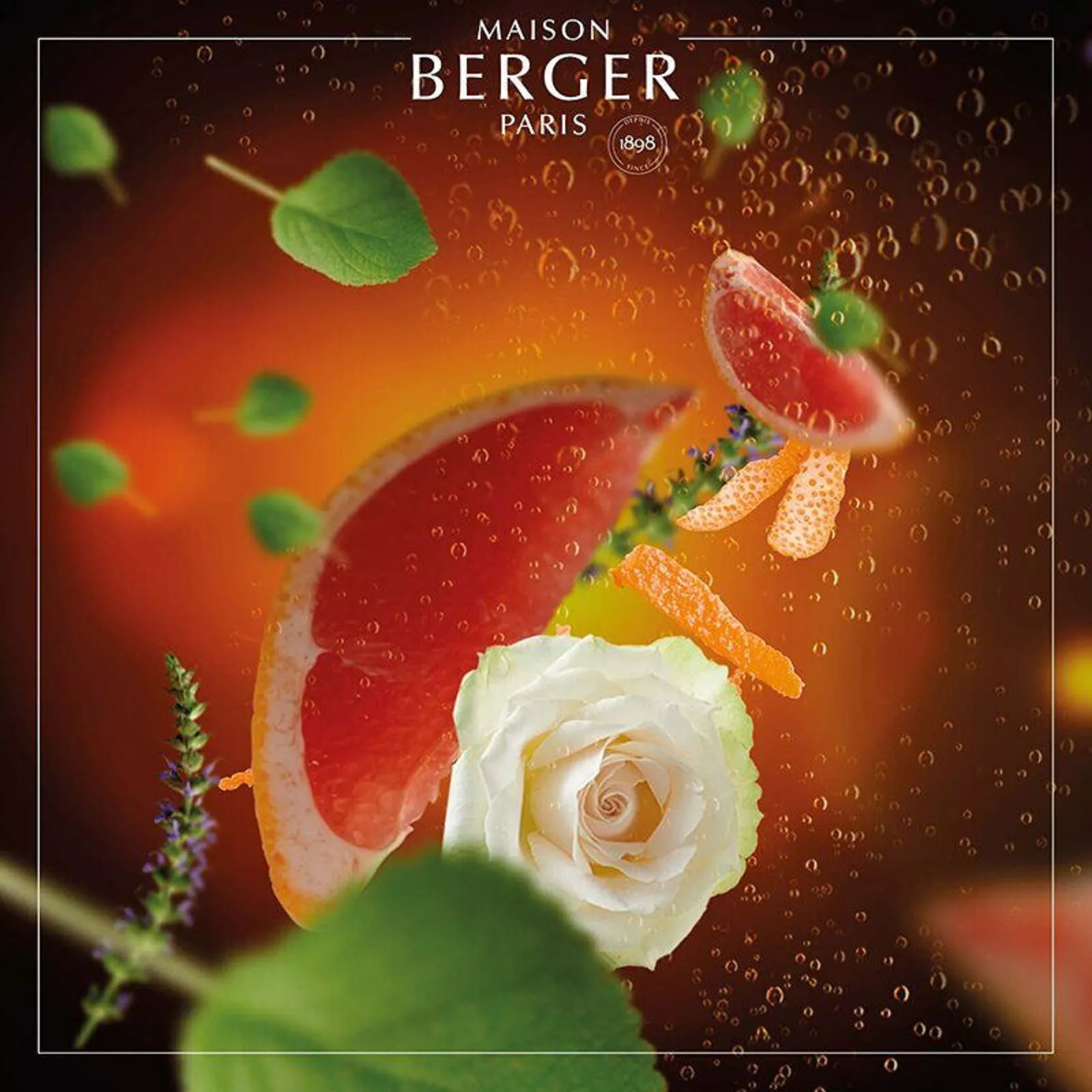 Наполнитель сменный для аромалампы Maison Berger Paris Exquisite Sparkle, объем 0,5 л (115188) - Фото nav 2