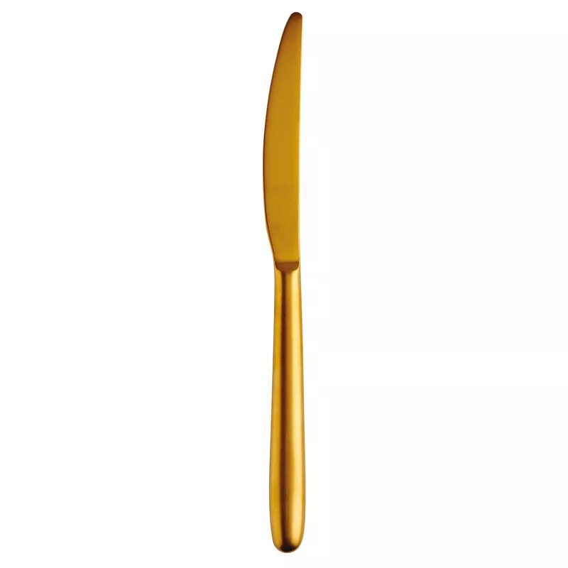Нож столовый Sambonet Hannah Red/Gold (52920N11) - Фото nav 1